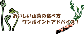 ���������R�؂̐H�ו��A�h�o�C�X�I