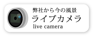 ライブカメラ
